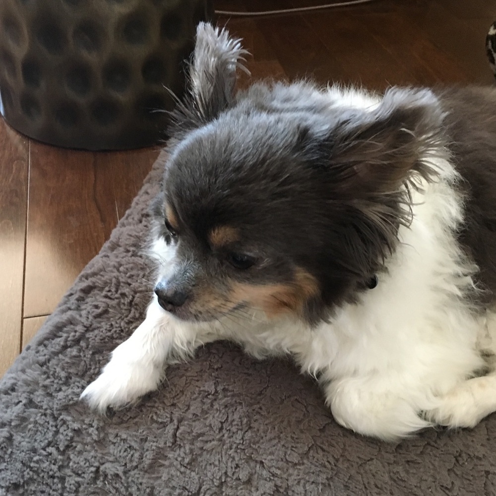 Meet your Posher, Rachelle